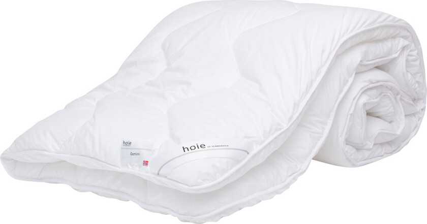 Høie Gemini varm thermodyne