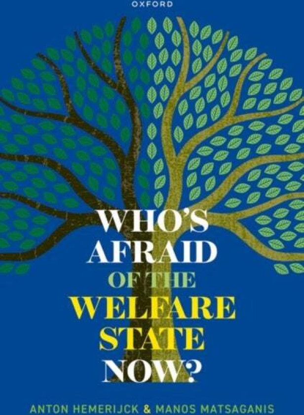 Who's Afraid of the Welfare State Now? av Anton (Professor of Political Science a Hemerijck