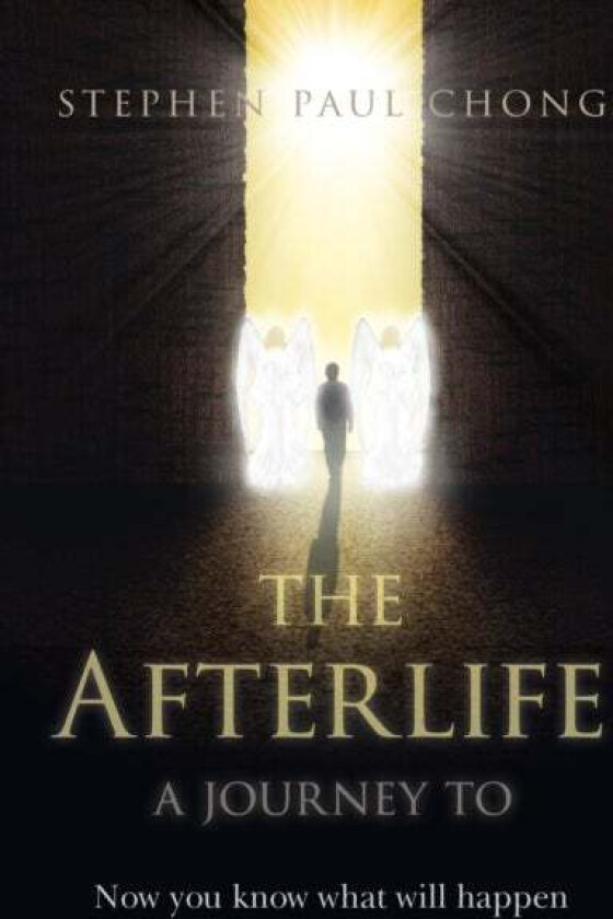 Afterlife, The - a journey to av Stephen Paul Chong
