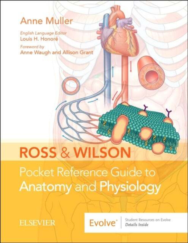 Ross & Wilson Pocket Reference Guide to Anatomy and Physiology av Anne (Nurse Senior Health Executive Doctor of Educational Sciences and Instructo