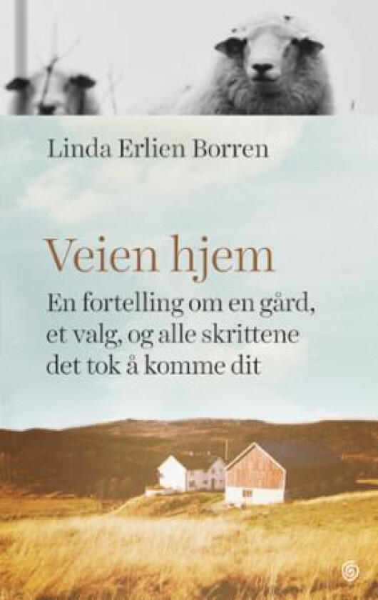 Veien hjem av Linda Erlien Borren