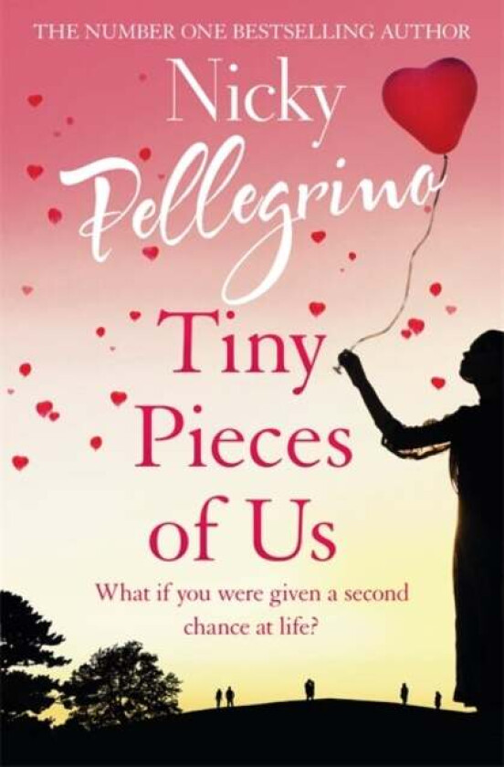 Tiny Pieces of Us av Nicky Pellegrino