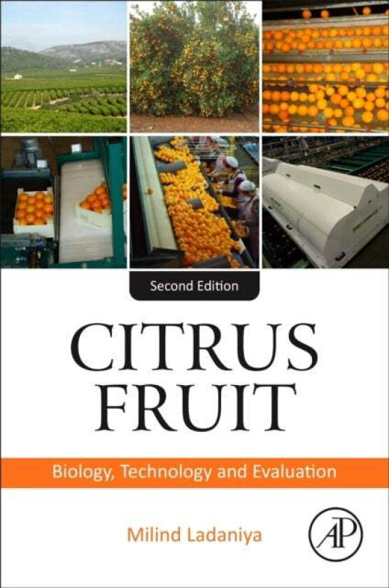 Citrus Fruit av Milind (Former Director and Mission Leader (Technology Mission on Citrus) ICAR - Central Citrus Research Institute India India) Ladani