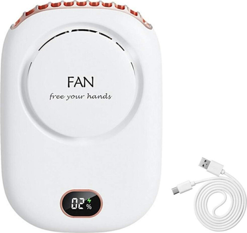 Fan Portable Mini Fan (AK254C)