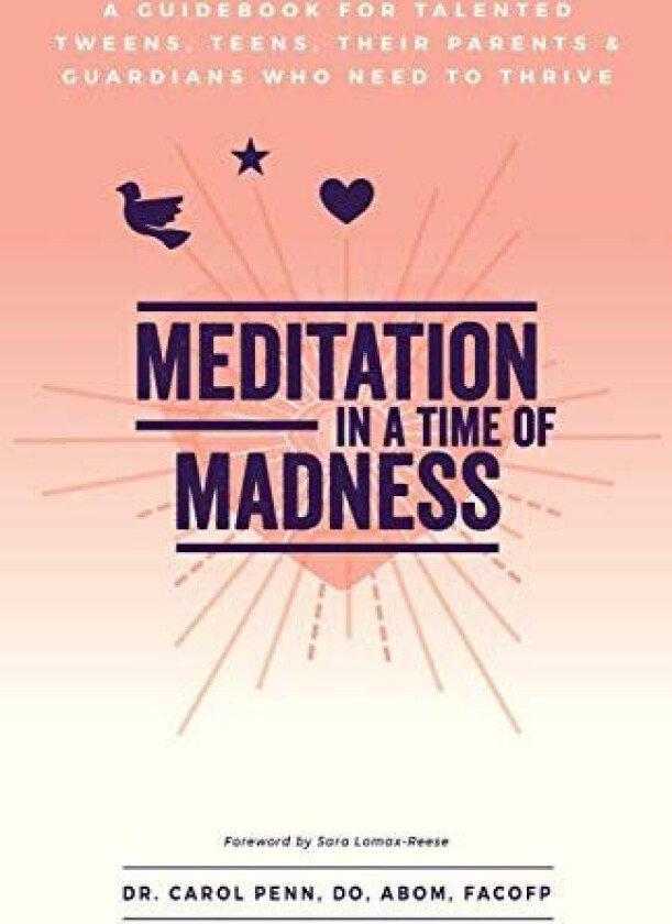 Meditation in a Time of Madness av Dr Carol Penn