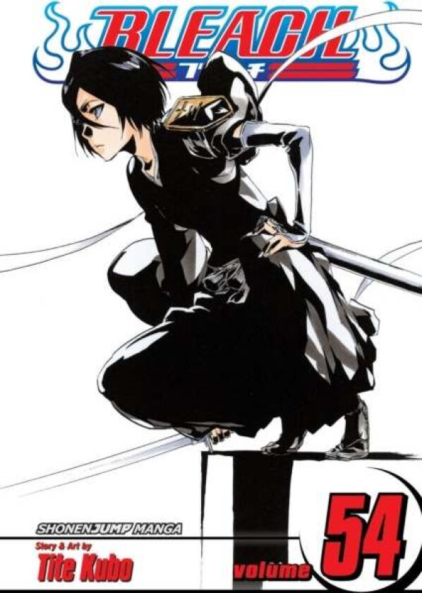 Bleach, Vol. 54 av Tite Kubo