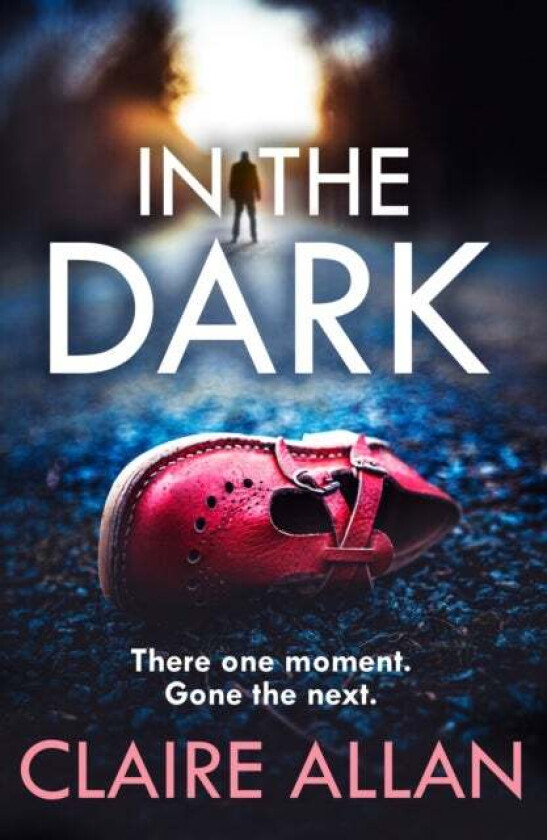 In The Dark av Claire Allan