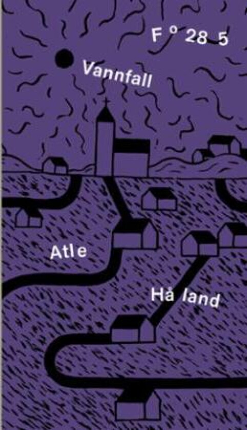 Vannfall av Atle Håland