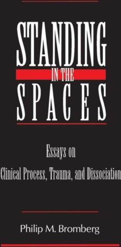 Standing in the Spaces av Philip M. (William Alanson White Institute New York USA) Bromberg