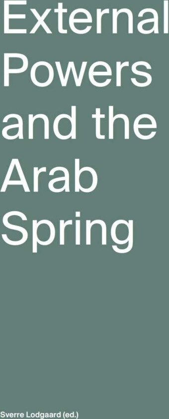 External powers and the arab spring