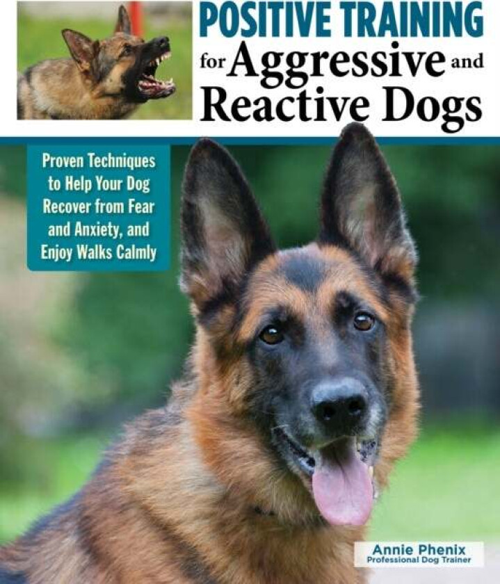 Positive Training For Aggressive & Reactive Dogs Av Annie Phenix