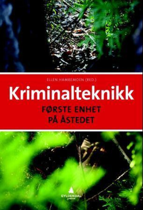 Kriminalteknikk