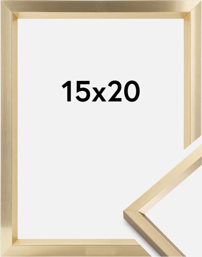 Ramme Steel Style Gull 15x20 Cm