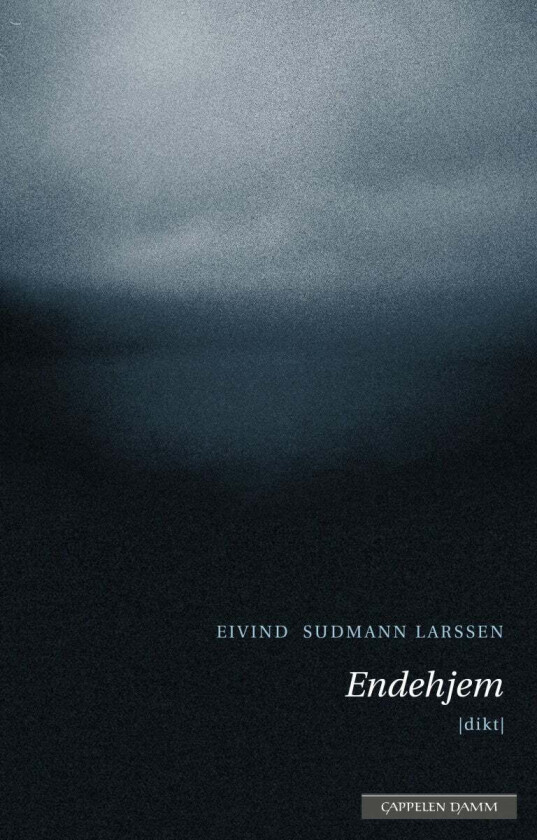 Endehjem av Eivind Sudmann Larssen
