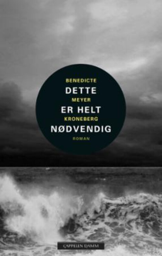 Dette er helt nødvendig av Benedicte Meyer Kroneberg