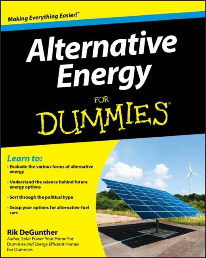Alternative Energy For Dummies av Rik DeGunther