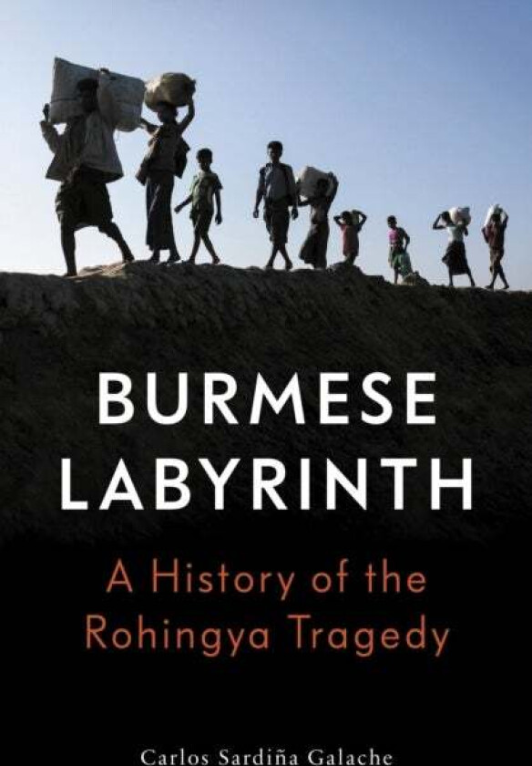 The Burmese Labyrinth av Carlos Sardina Galache