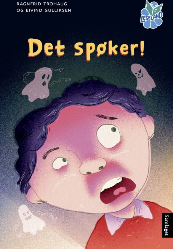 Det spøker! av Ragnfrid Trohaug