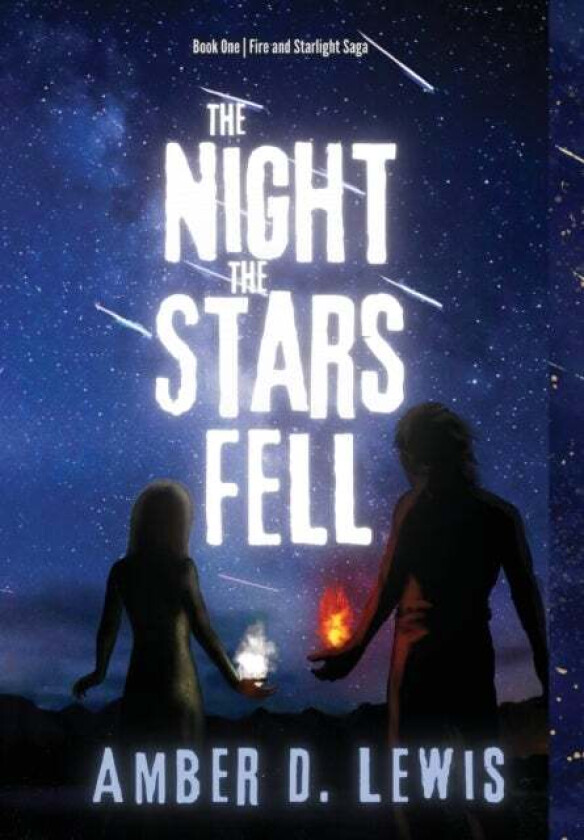 The Night the Stars Fell av Amber D Lewis