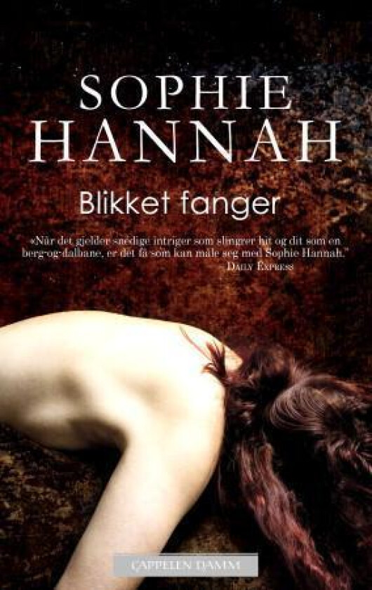 Blikket fanger av Sophie Hannah