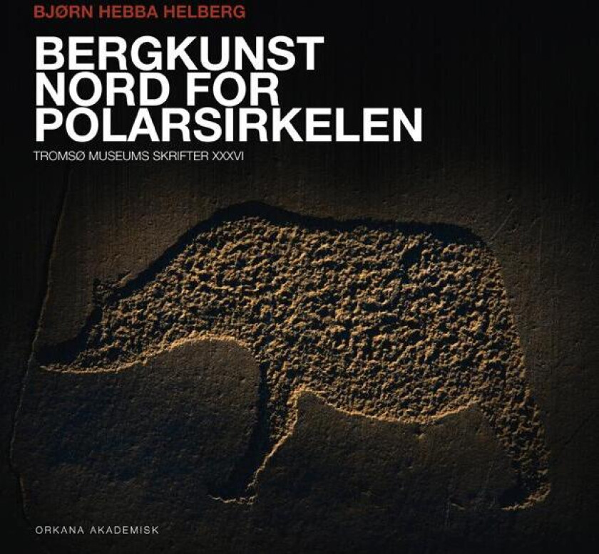 Bergkunst nord for Polarsirkelen av Bjørn Hebba Helberg