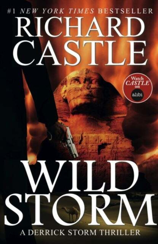 Wild Storm av Richard Castle