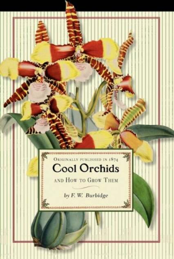 Cool Orchids (Trade) av Frederick Burbidge