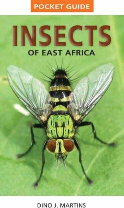 Pocket Guide Insects of East Africa av Dino J. Martins