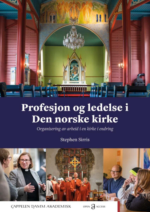 Profesjon og ledelse i Den norske kirke av Stephen Sirris