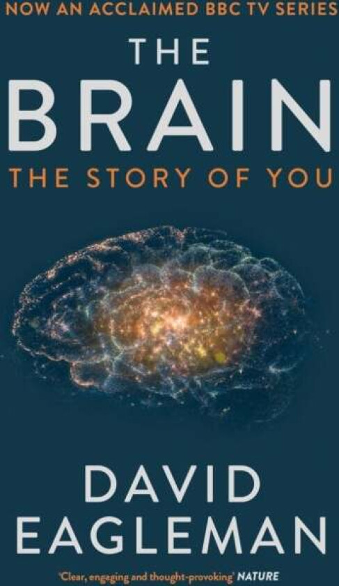 The Brain av David Eagleman