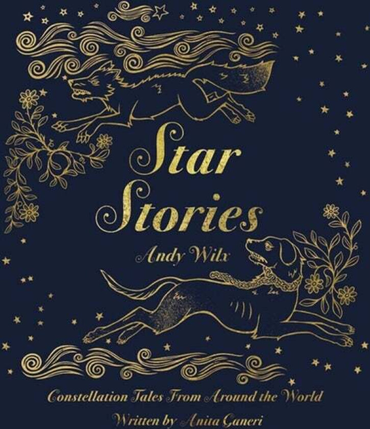 Star Stories av Anita (Freelance Author) Ganeri