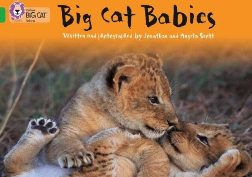 Big Cat Babies av Jonathan Scott, Angela Scott
