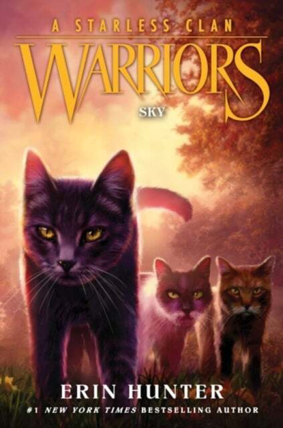 Warriors: A Starless Clan #2: Sky av Erin Hunter
