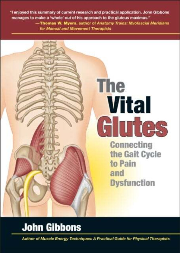 The Vital Glutes av John Gibbons