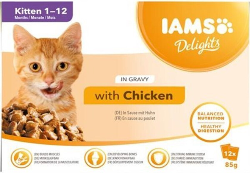 Iams Delights in gravy Multipack Kitten 12x85 g