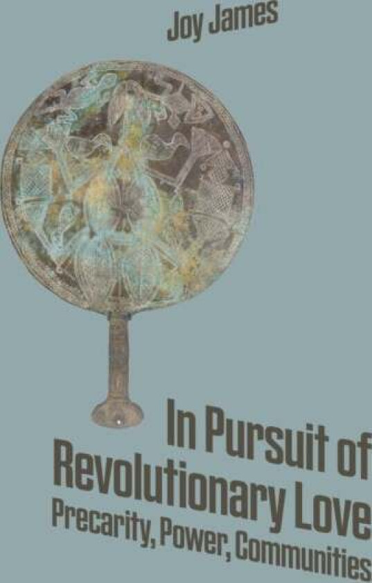 In Pursuit Of Revolutionary Love av Joy James