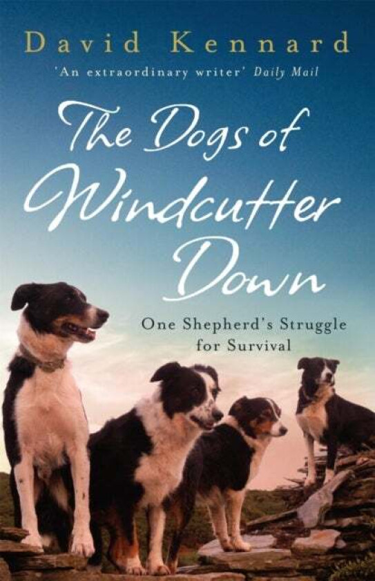 The Dogs of Windcutter Down av David Kennard