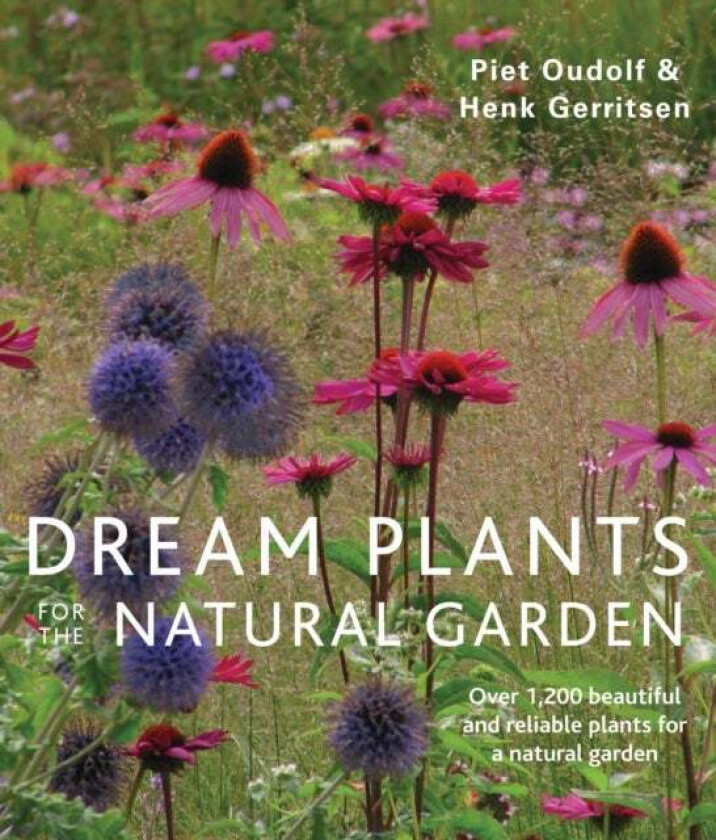 Dream Plants for the Natural Garden av Piet Oudolf, Henk Gerritsen