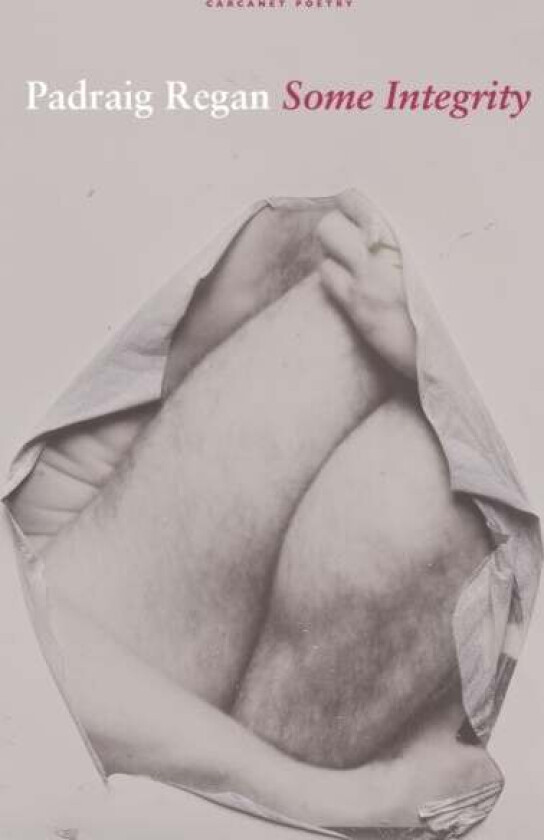 Some Integrity av Padraig Regan