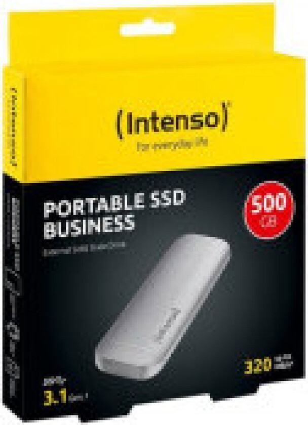 Intenso Business bærbar ekstern SSD-harddisk (USB-C) 500 GB