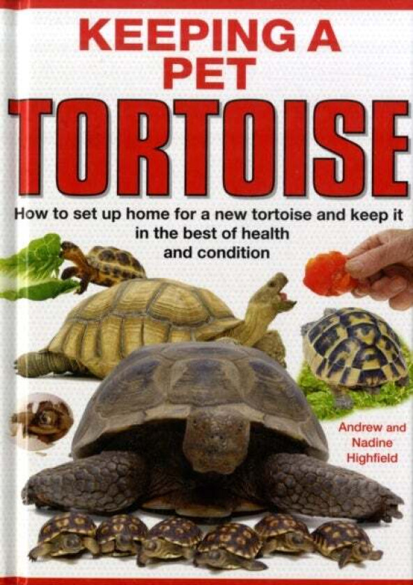 Keeping a Pet Tortoise av A.C. Highfield, Nadine Highfield