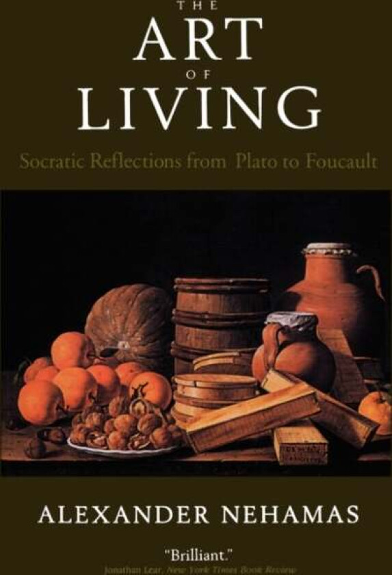 The Art of Living av Alexander Nehamas