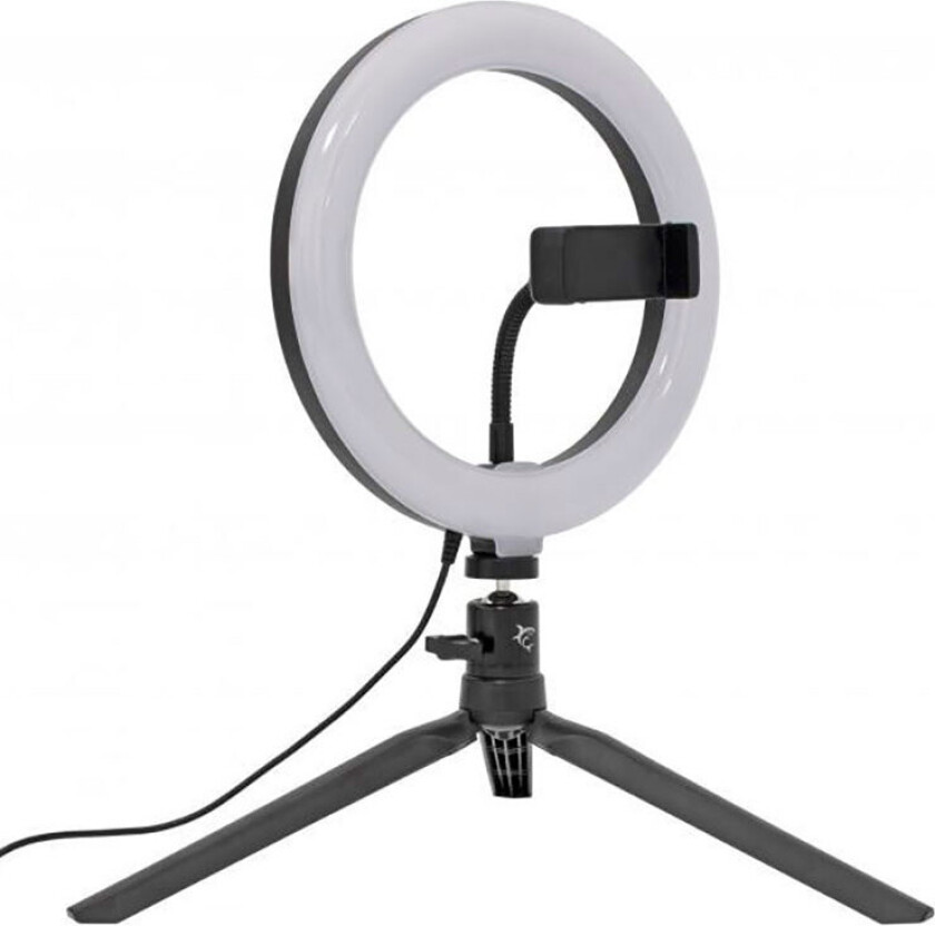 White Shark RL-08 Ringlys m/Stativ - 8W (Ã20cm) Sort