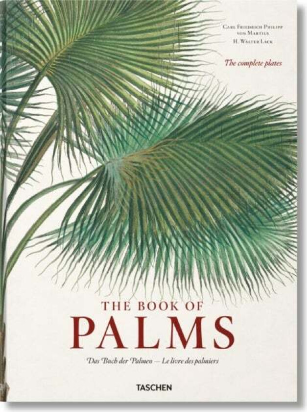 Martius. The Book of Palms av H. Walter Lack
