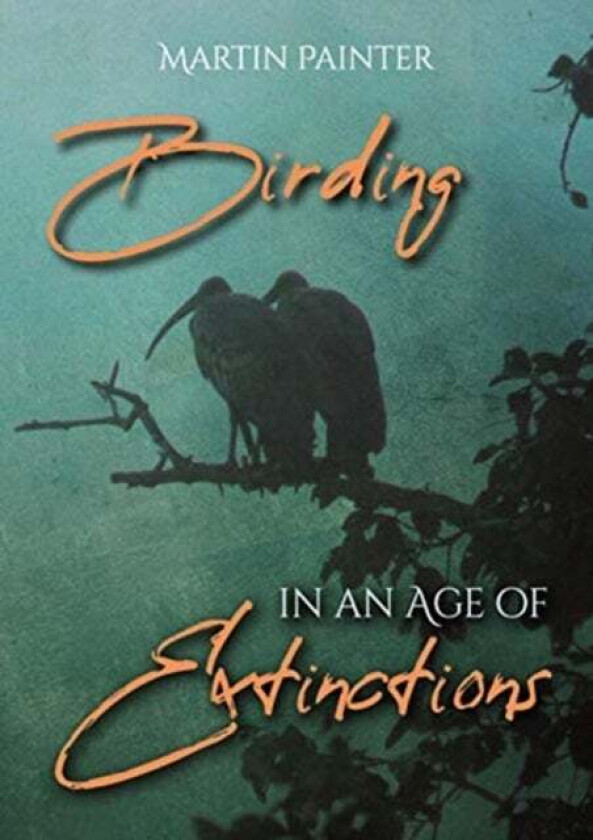 Birding in an Age of Extinctions av Martin Painter