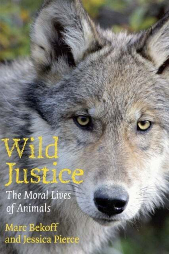 Wild Justice av Marc Bekoff