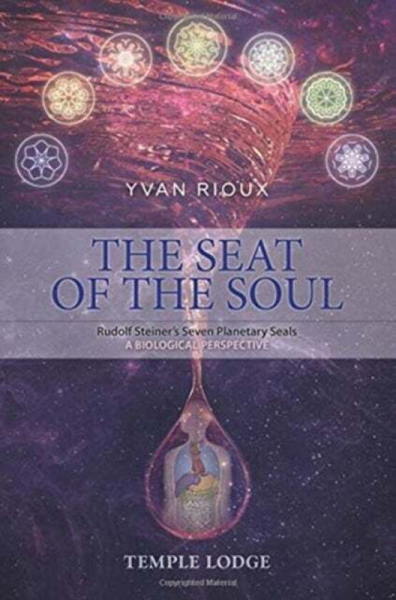 The Seat of the Soul av Yvan Rioux