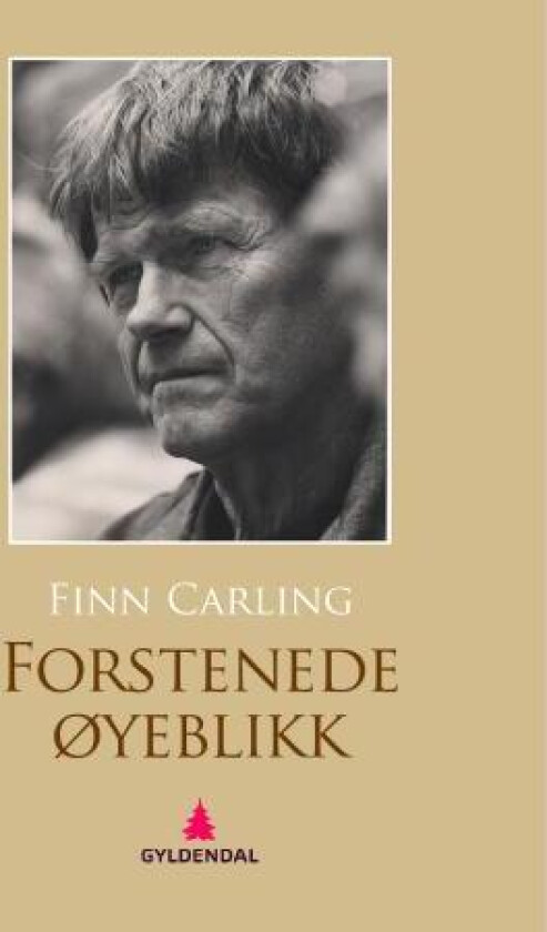Forstenede øyeblikk av Finn Carling