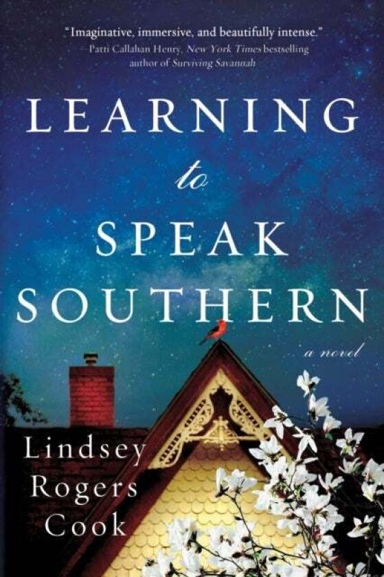 Learning to Speak Southern av Lindsey Rogers Cook