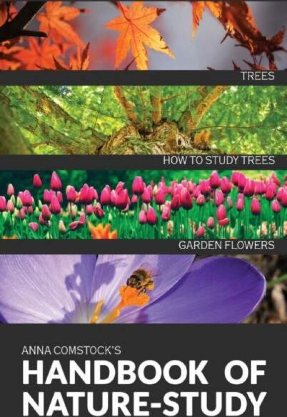 The Handbook Of Nature Study in Color - Trees and Garden Flowers av Anna B Comstock